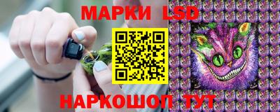 Альфа ПВП Протвино