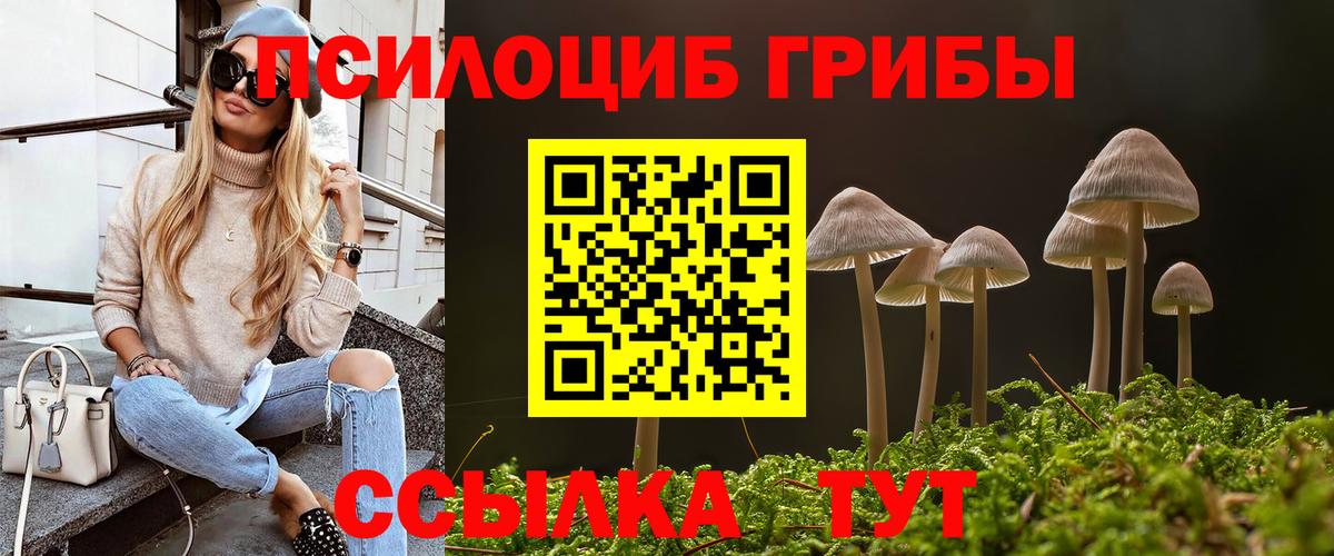 Губкинский  Галлюциногенные грибы MAGIC MUSHROOMS  закладка  Вход с VPN 