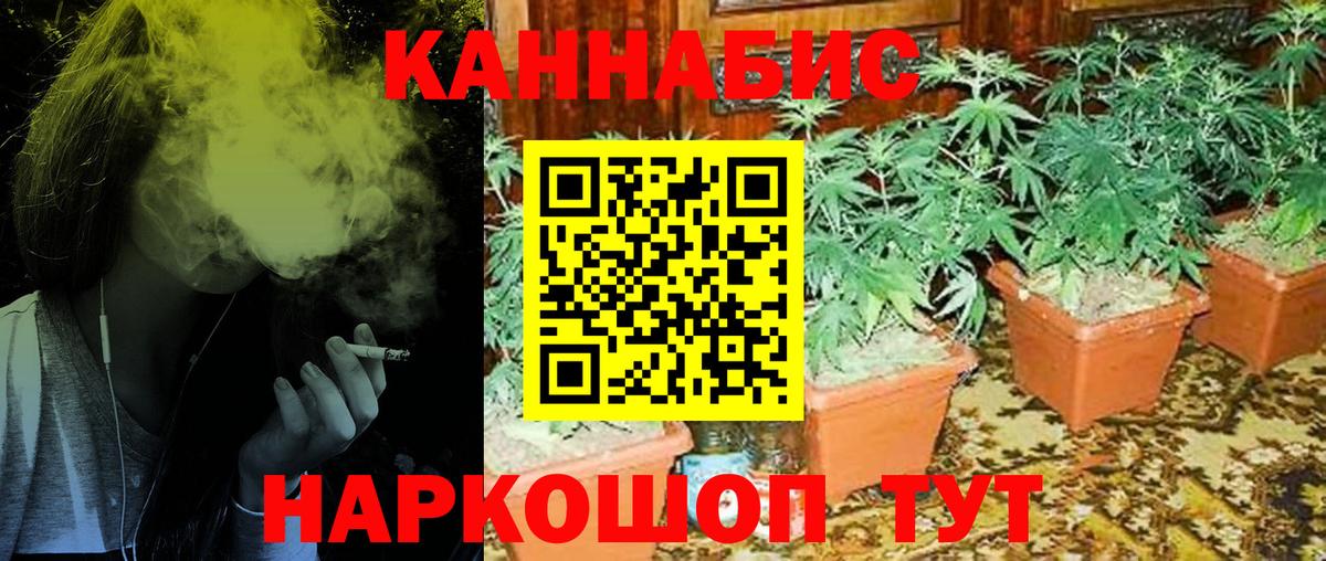 Бошки марихуана VHQ Губкинский